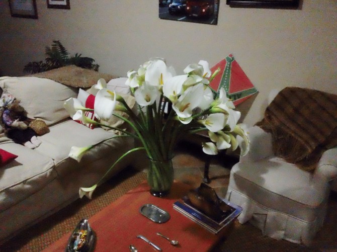 The Blog site reached 1,000 views today!!