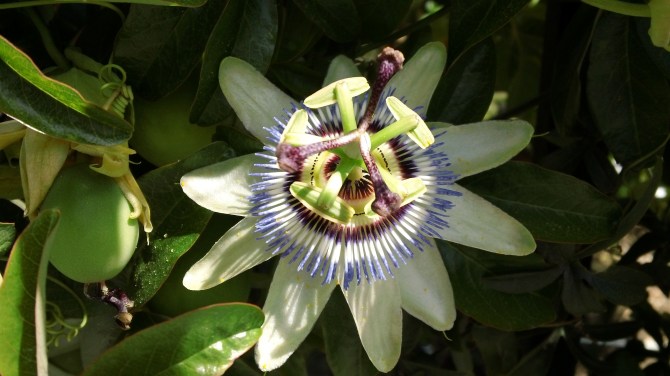 Beauty and the Glory of God reflected in natural Chile