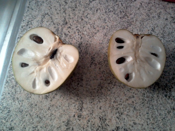 LISAS-TABLR - WIN_20141218_115249