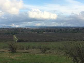 11226031_990242021019264_9048306402279778663_o