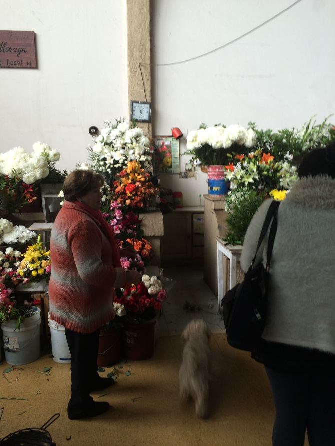 11707814_989993737710759_2262962095503473662_o