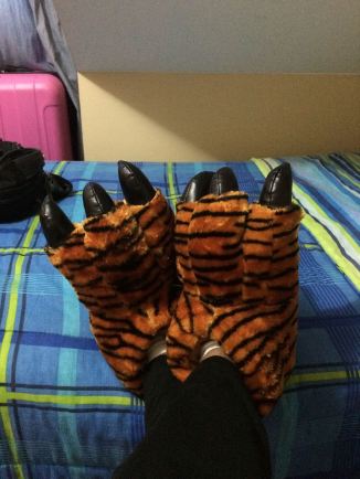 My tigress house slippers I purchased today. Love these things!!