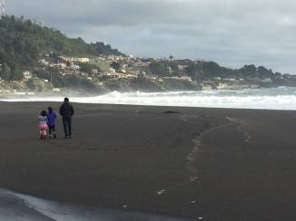 11717566_990241771019289_5414710820175121719_o