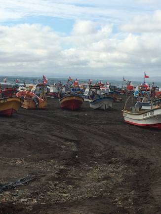 11754495_990028697707263_7189472369123040014_o